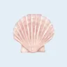 natalie 🐚のプロフィール画像