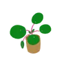 Ảnh hồ sơ của Grassdener