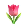 Ảnh hồ sơ của Raafa